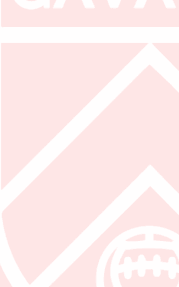 Cavalryvideobackground