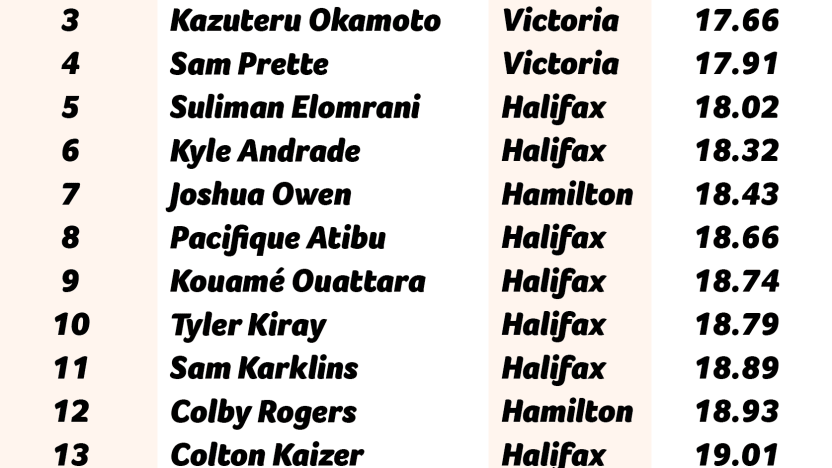 6 – Agility w Ball