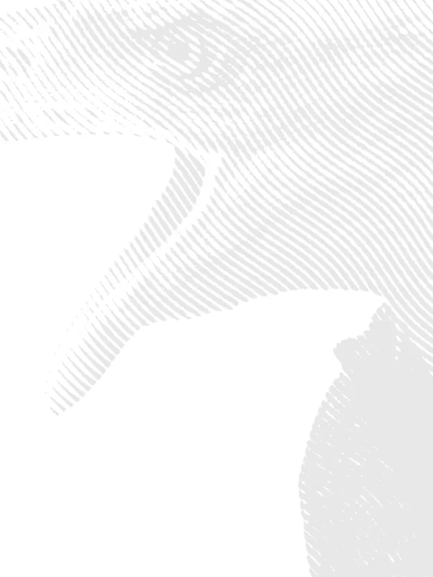 Vancouvervideobackground