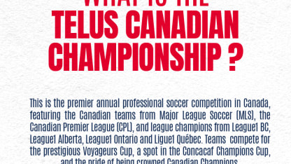 ATO -  Match Day Guides June 11_08