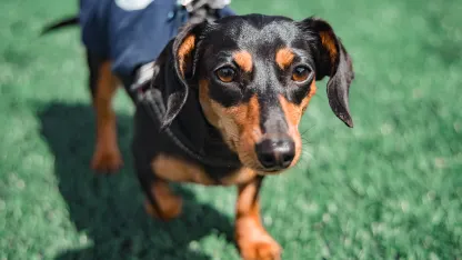 05-03-2025 ATL vs PAC-240