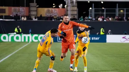 A15I5255 jojo qian (1)