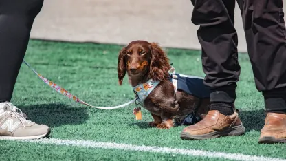 05-03-2025 ATL vs PAC-089