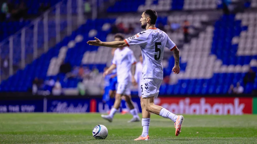 WhatsApp Image 2026-02-12 at 17.37.28