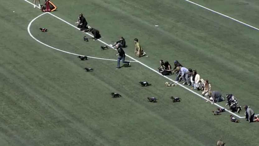 Atletico Ottawa 2025 Weiner Dog Race