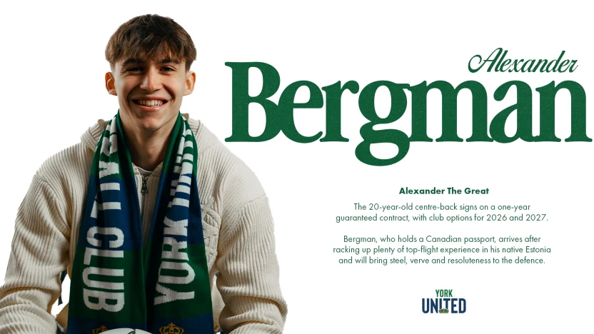 Bergmangraphics