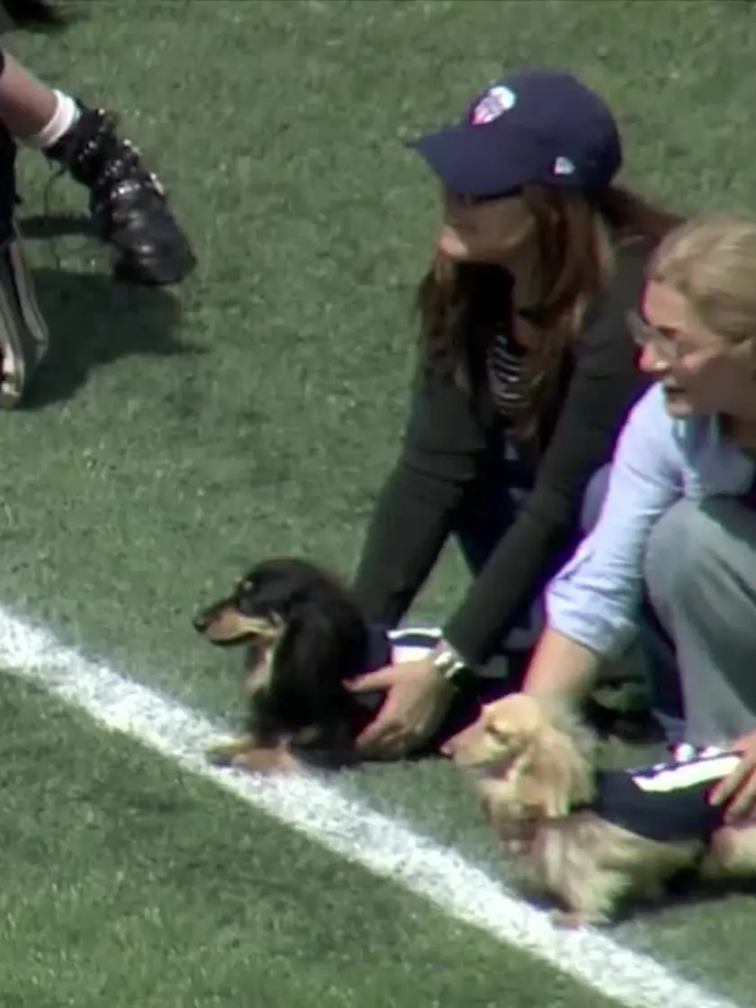 Atlético Ottawa's World Famous Wiener Dog Race 2025