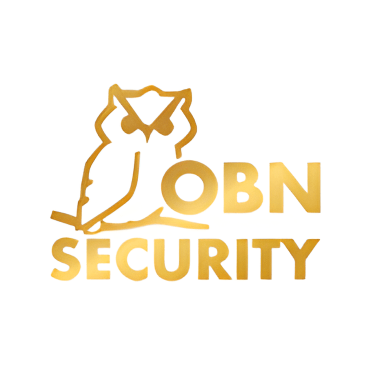 OBN Security