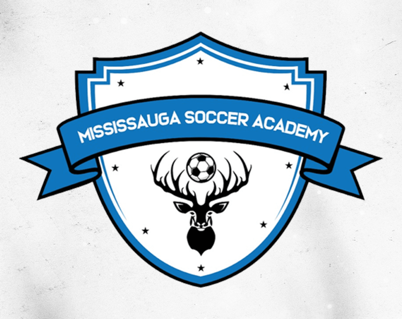 Mississauga Soccer Academy