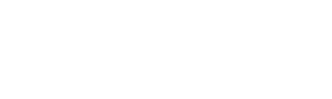 Ticket Icon