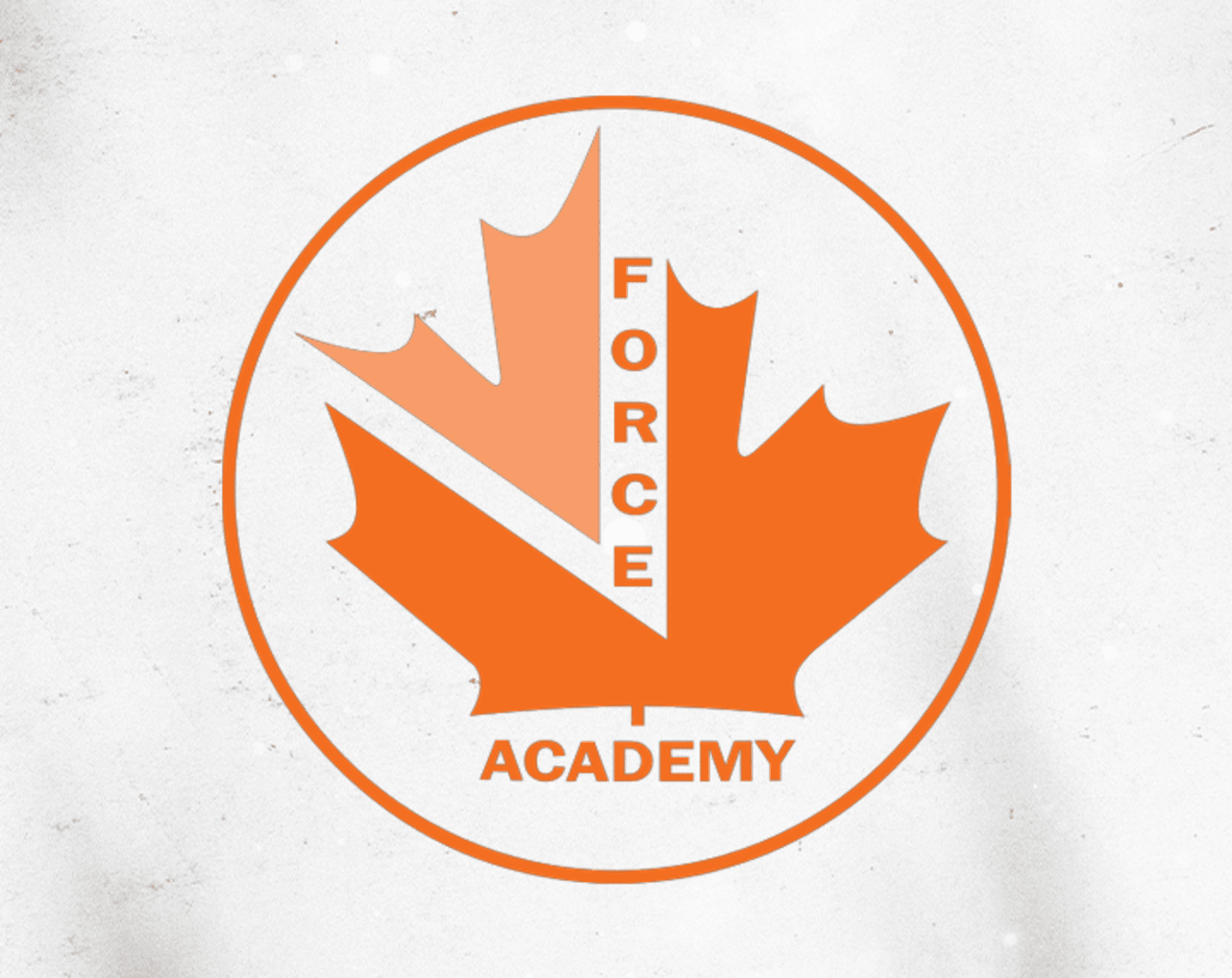 Force Soccer Academy