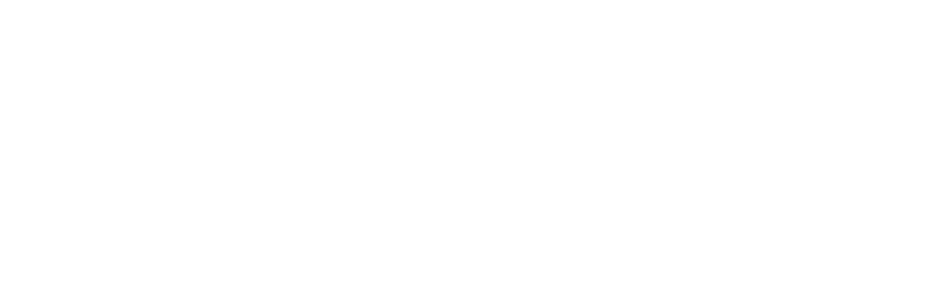 Ticket Icon