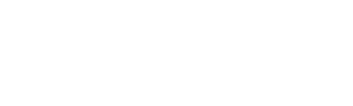 Ticket Icon